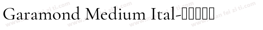 Garamond Medium Ital字体转换